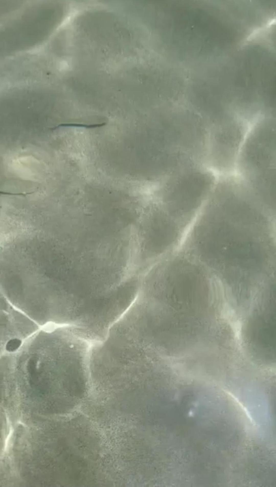 La Foggia Seaside Paradise Siculiana Exteriör bild